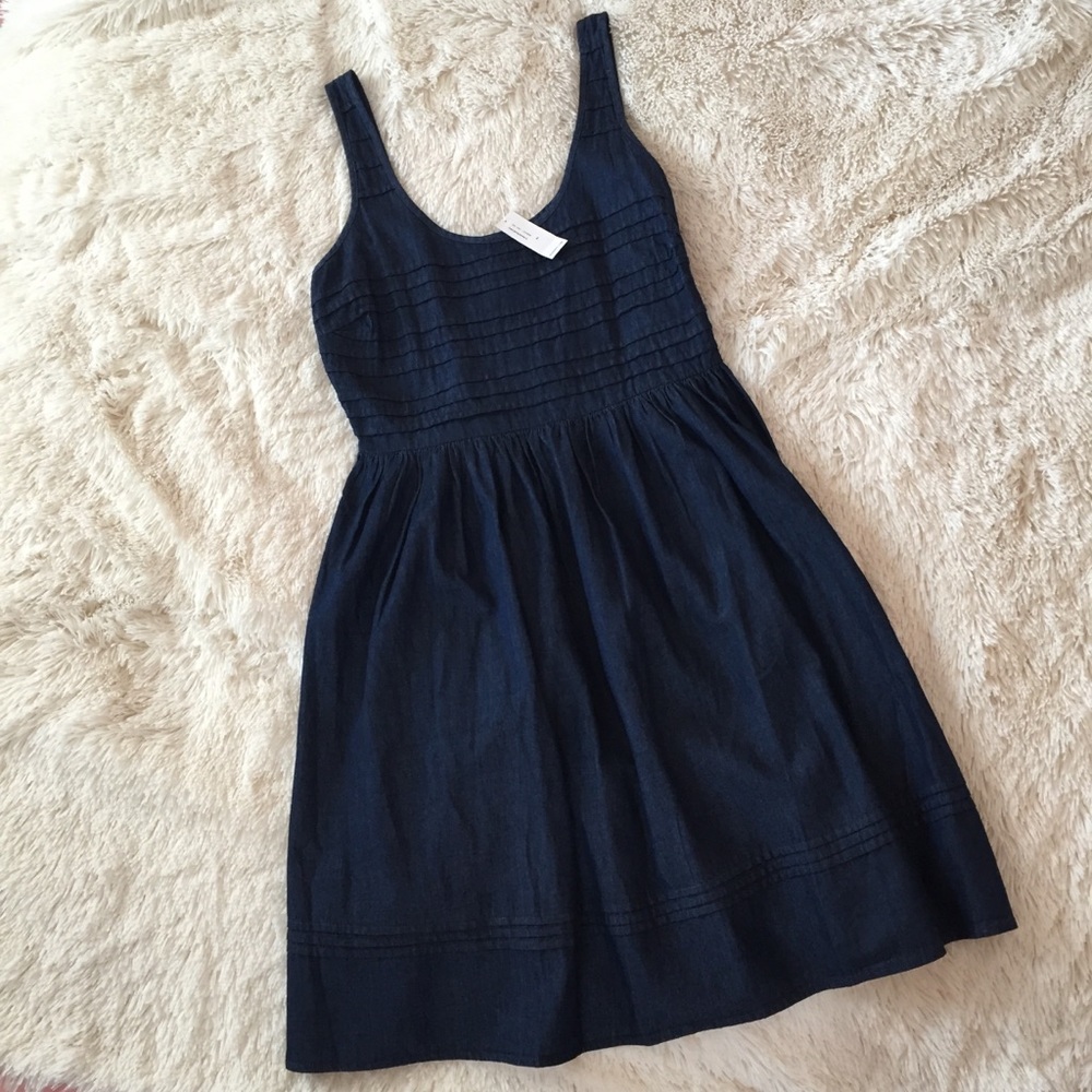 Chambray Dress
